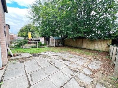 Picture 18